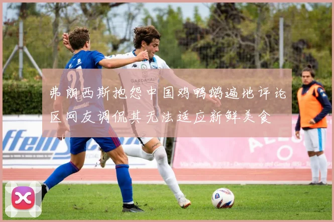 弗朗西斯抱怨中国鸡鸭鹅遍地评论区网友调侃其无法适应新鲜美食