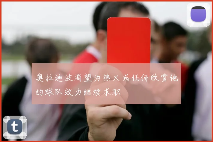 奥拉迪波渴望为热火或任何欣赏他的球队效力继续求职