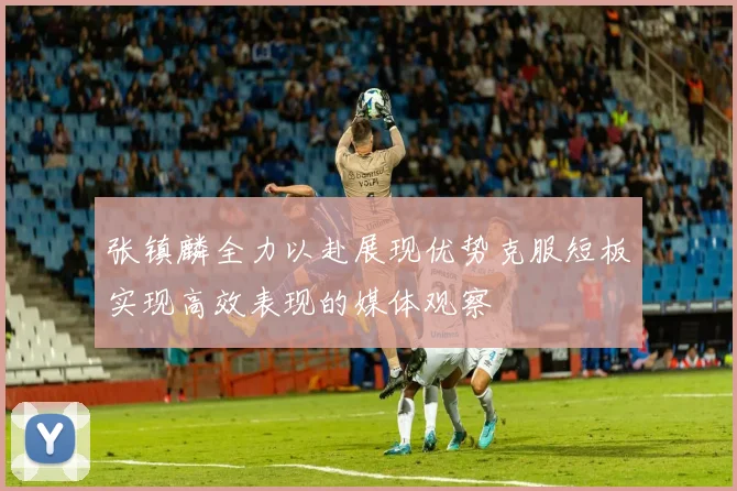 张镇麟全力以赴展现优势克服短板实现高效表现的媒体观察