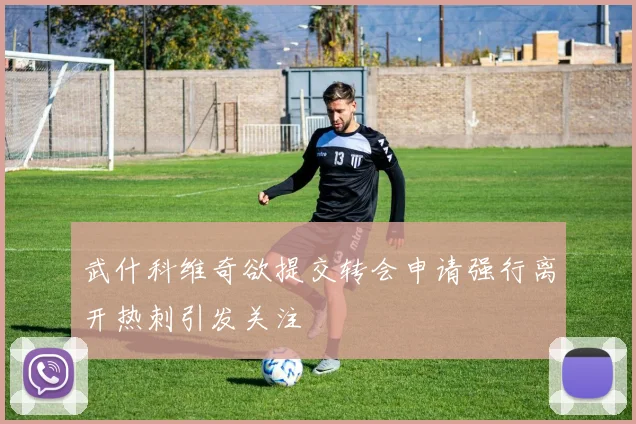 武什科维奇欲提交转会申请强行离开热刺引发关注